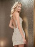 Sparkly Sequin Back Lace-Up Spaghetti Strap V-Neck Homecoming Dress – Champagne