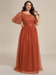 Plus Size Women’s Embroidery Evening Dresses with Short Sleeve – Burnt Orange