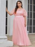 Plus Size Women’s Embroidery Evening Dresses with Short Sleeve – Pink